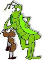 cicala e formioca