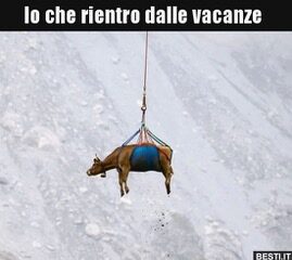 foto per rientro 1 (002)