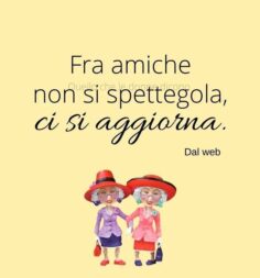 VIGNETTA AMICHE